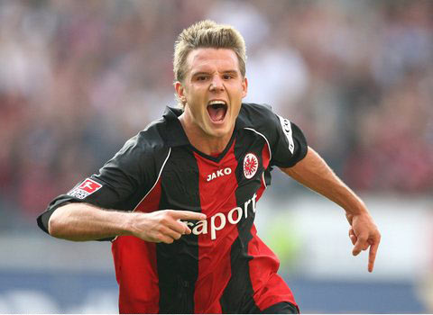 了众多国内 了众多国内